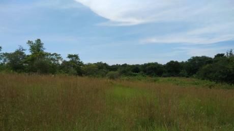 Terreno 13000 M2 - Capiatá - A 4 Kilómetros De Ruta 2 Km 24 - Linda Con Arroyo
