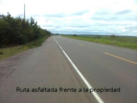 !!!vendo Granja De 22.5 Htas. - Zona Santani!!! 225 M. S/ Ruta Asfaltada...