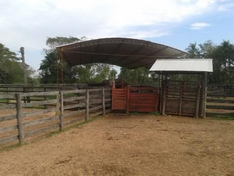 Vendo Establecimiento Ganadero De 800 Htas. - Zona Gral. Aquino!!!