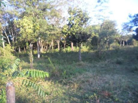 Isla Valle - Aregua 2.900 M2