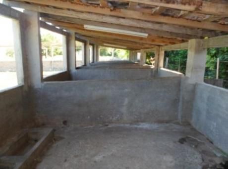 Vendo Granja 9.5has. Zona Arroyos Y Esteros