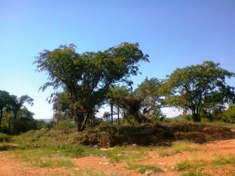 Vendo Tereno Entre Luque Y Aregua- Caacupe MI