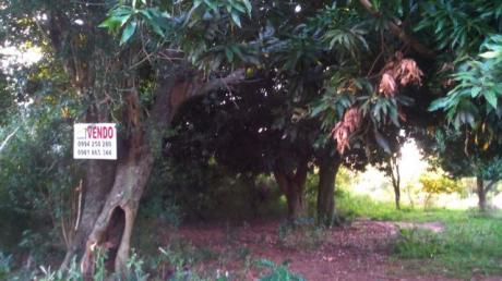 Vendo Terreno En Ypane- Villa Sofia