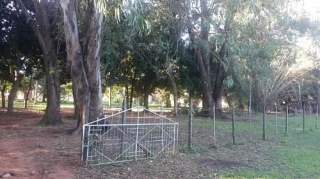 Oferta San Lorenzo.. Propiedad De 1 Hectarea Zona Callei