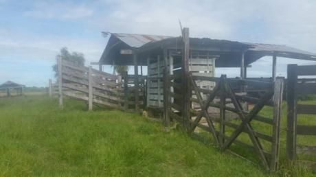 Ofertazoo.. 221 Hectáreas En Paraguarí Para Ganadería, Sobre Asfalto.
