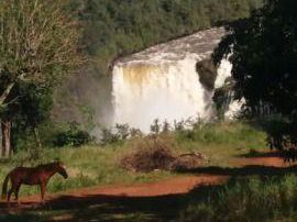 Vendo Terrenos Loteados - Salto Monday – Zona Turistica