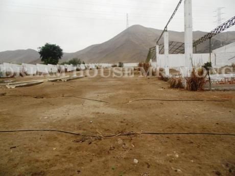 Venta De Dos Terrenos Continuos En Chilca - Cañete