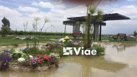 Residencial Villa Flavia - Ahorra Para El Futuro