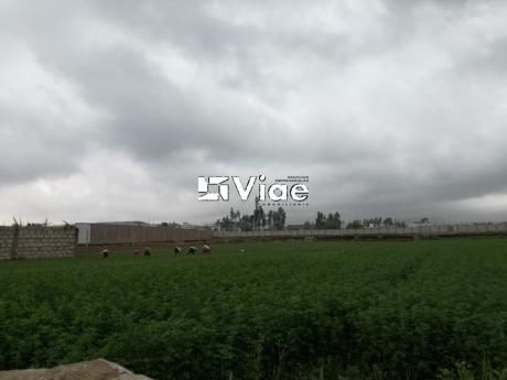 Venta Amplio Terreno Cerro Colorado Ideal Para Proyectos (VI - Vt 014)