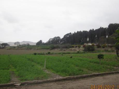 Vendo Terreno Agricola En Chancayllo Alt. Km. 93 Panamericana Norte