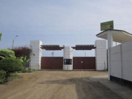 Lote 1ra Fila En Condominio "costa Del Campo" Km 84 Panamericana Sur. 840 M2