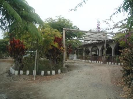 Hermoso Terreno Muy Productivo Y Bien Ubicado