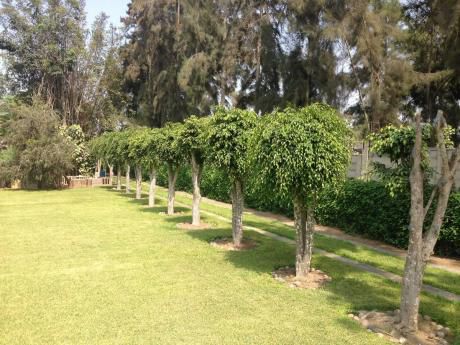 Bella Casa De Campo De 4,000 M2 En Lurin