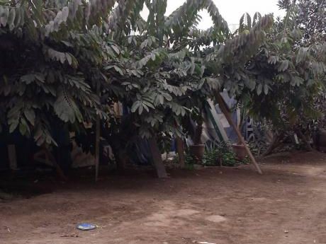 Terreno Rustico, Ideal Para Industria O Vivienda - Us$524,000
