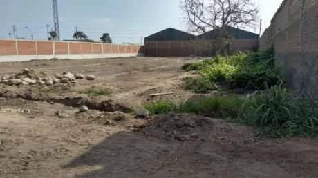 Se Alquila Terreno De 2,500 M2 En Huertos De Lurin $1,250