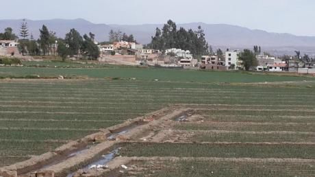 Cerro Colorado 3300 M2 Av Jose Olaya $250xm2