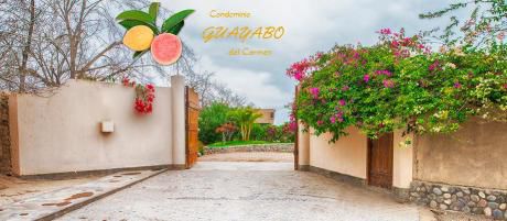 Lotes Para Casa De Campo En Zona Exclusiva - El Carmen, Chincha