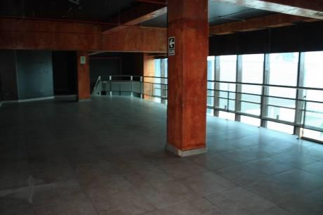 Alquilo Local Comercial En San Isidro