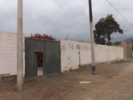 Terreno Agrícola/ Industrial - Zona Papa León, Chilca