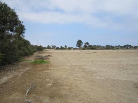 Vendo 98,759 M2 Z - Com En Asia, Panamericana Sur, Cerca A Boulevard.