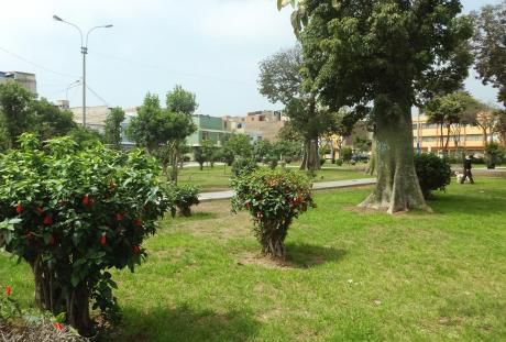Venta De Terreno Residencial