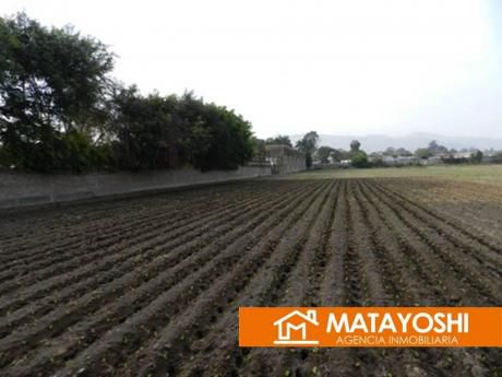Vendo Terreno En Pachacamac Lurín