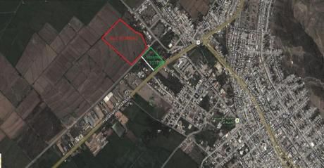 Terreno En Venta Chepen (cerca A Tottus) 5 Hectáreas
