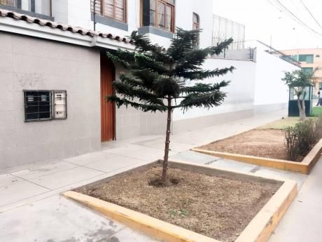 1er Piso Departamento 317 M2 Calle Cerro Azul - Surco
