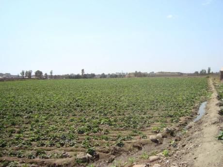 Excelente Terreno Para Inversión En Huacho (mazo)