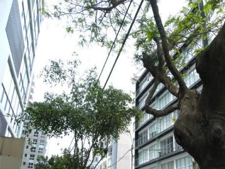 Vendo Ph Dúplex Semi Nuevo 03 Dorm. A Una Cuadra Parque María Reiche