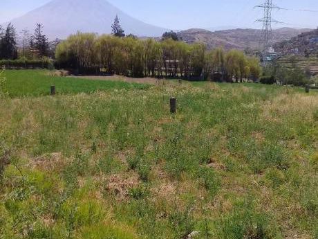 Venta De Terreno En J. L. B Y Rivero En Plena Av