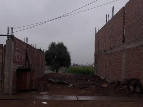 Vendo Terreno De 111.76 M En Etapa 12 De Sto Domingo De Carabayllo