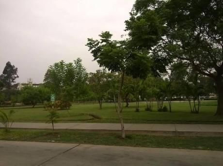 Excelente Departamento San Borja Frente A Parque
