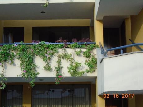 Venta De Acogedor Departamento En Calle Toquepala - Surco
