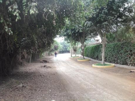 Pachacamac - San Fernando