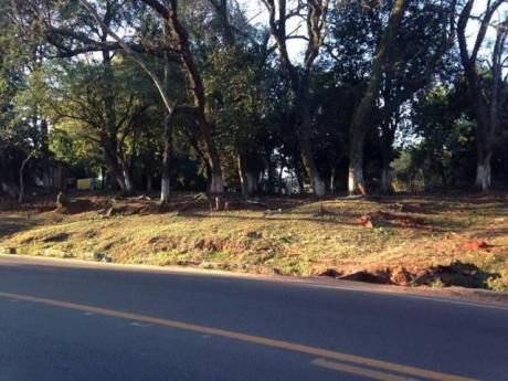 2 Terrenos Osbre Ruta En Luque Cañada San Rafael!!