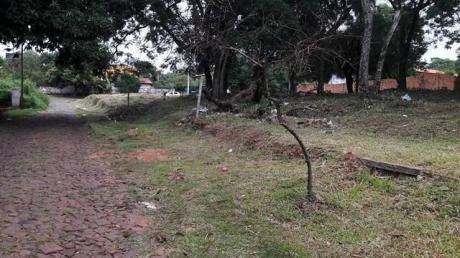 8 Terrenos Sobre Empedrado En ñemby A 300 Mts De Acceso Sur.