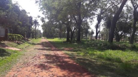 Nuevo Lotes En Capiata Km 21 Ruta 2