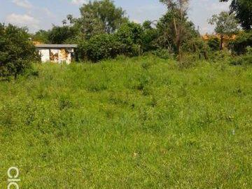 Vendo Terreno En Remanso Mariano Roque Alonso