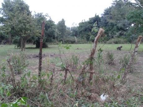 Vendo Terreno En Ciudad De Ypane