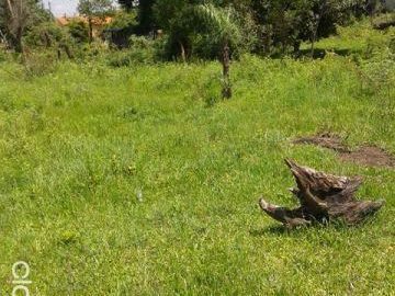 Vendo Terreno En Ypane - Barrio San Nicolas