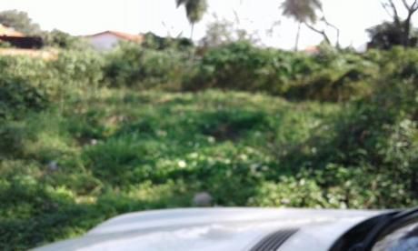 Vendo Terreno En Villa Anita ñemby