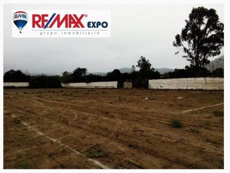 Terreno - Pachacamac