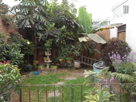 Casa, San Borja, Venta.