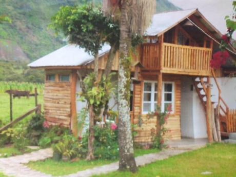 Venta Terreno 1,319.37 M2 - La Merced - Chanchamayo - La Colonia Pozuzo