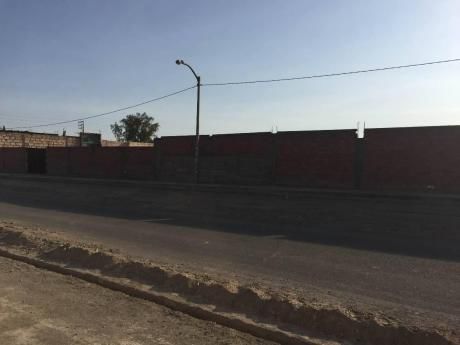 Excelente Terreno Industrial Venta O Alquiler Pachacutec C. Colorado