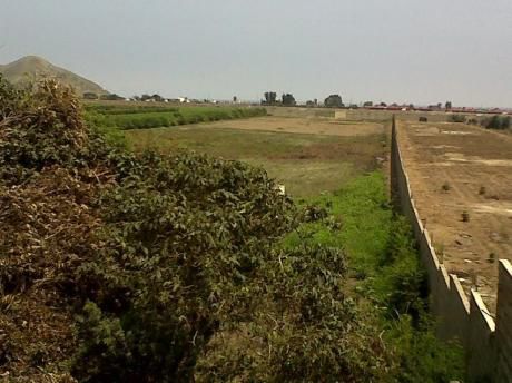 Mala - Bujama, Venta De Terreno 25,865 M2