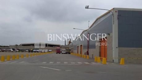 Alquiler De Local Industrial Desde 1,000 M2 - Lurín