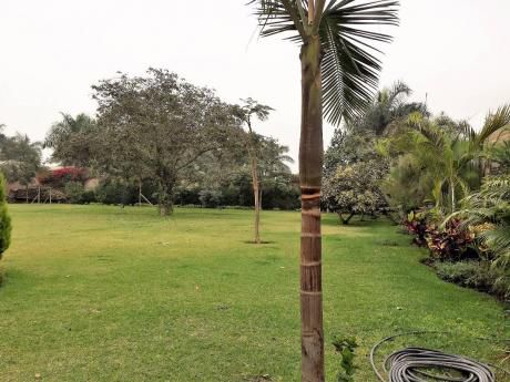 Excelente Casa En Cineguilla
