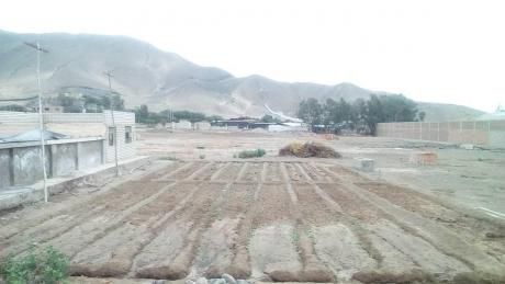 Terreno En Venta Chilca Urb. Papa León